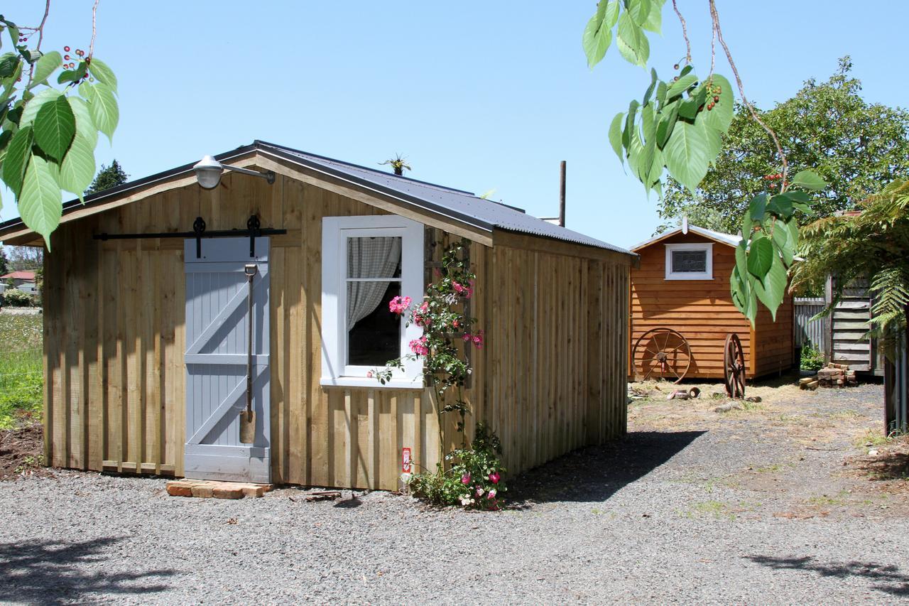 The Log Cabin & Packing Shed Villa Waihi Buitenkant foto